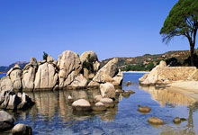 天涯论坛小月月事件：一场被围观的网络狂欢